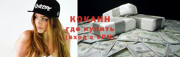 прущие грибы Абдулино