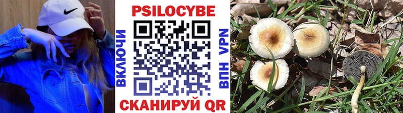 KRAKEN tor  купить наркотики цена  Кяхта  Галлюциногенные грибы Cubensis 